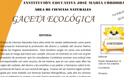 Gaceta ecológica 1ra edición 2019