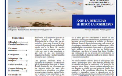 Gaceta Ecológica Edición N° 3 de 27 de Noviembre 2020